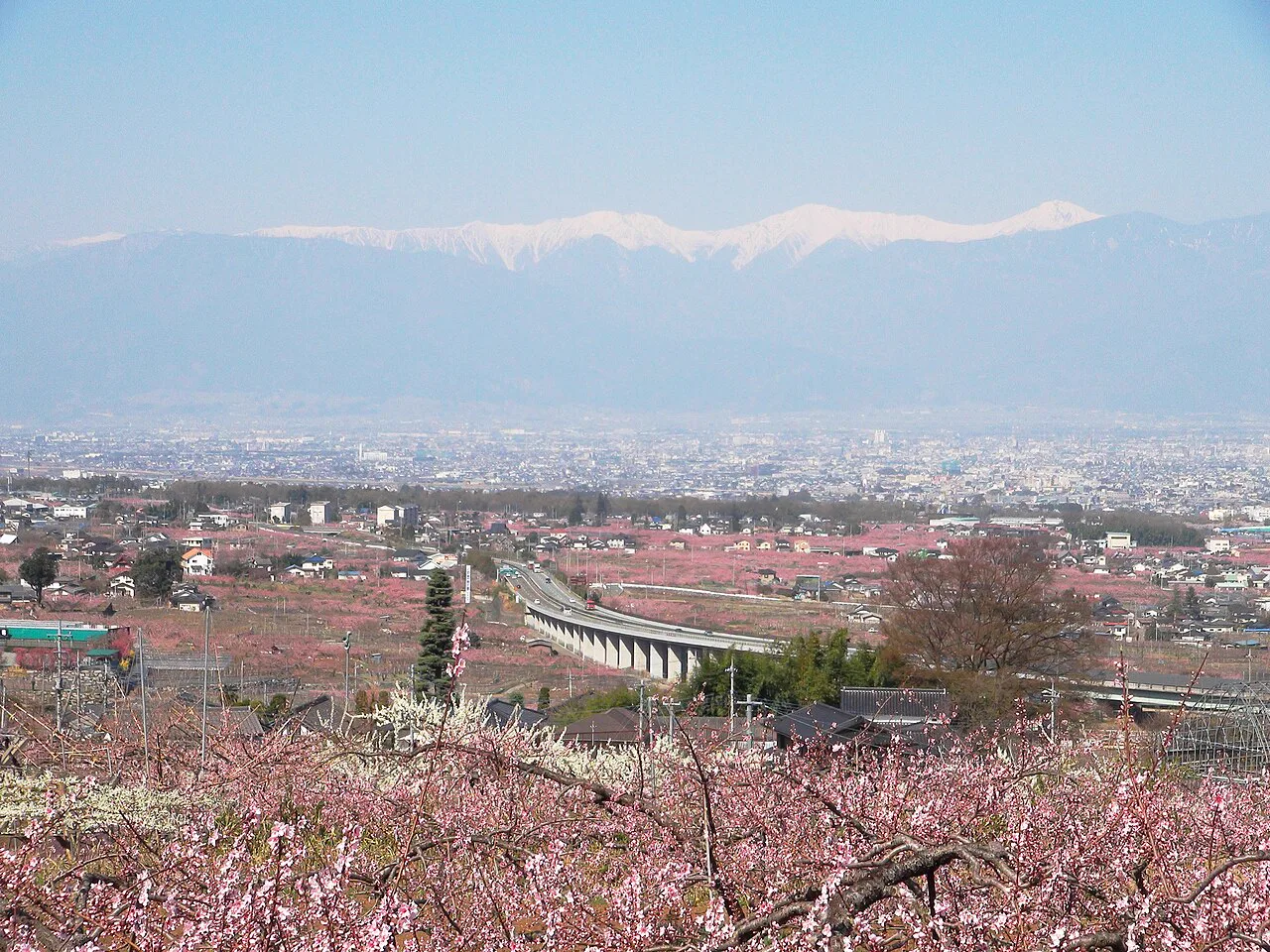 Hotel Kohakuen Day Use: No Walk-In Bath Ticket, but Lunch Plans Include the Onsen