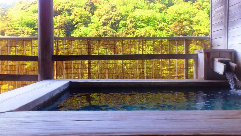 Seiryuso or Iwanosaki? Choosing a Day-Use Onsen in Misasa