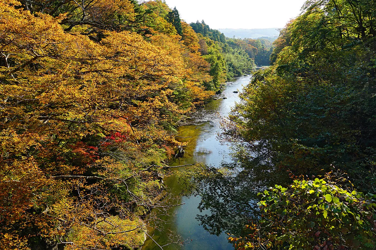 Autumn scenery along the Natori River in the Akiu area