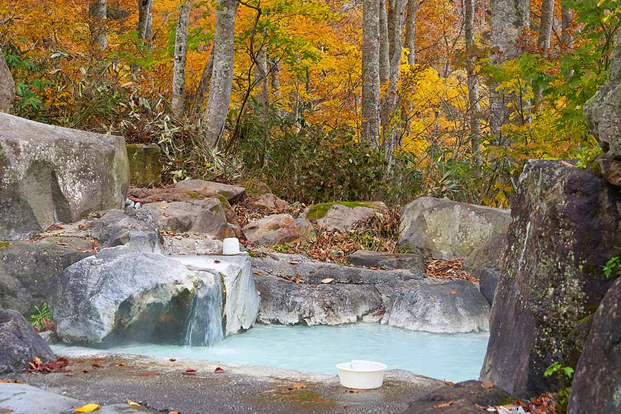 Ogon-no-Yu or Kawara-no-Yu? Choosing a Tsubame Onsen Outdoor Bath