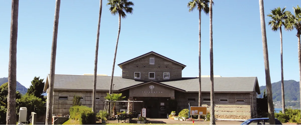 Suo-Oshima Onsen Without a Car: Which Bath Is Realistic by Bus?