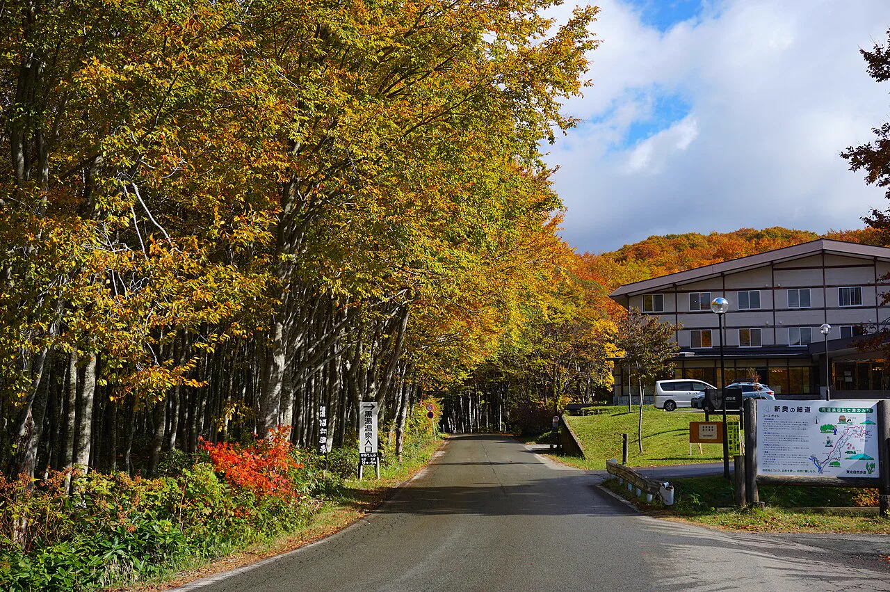 Mountain road through the forest near Nyuto Onsenkyo