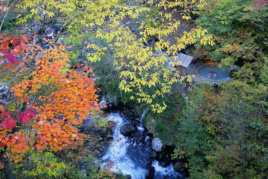Shirahone Onsen on a Budget: Day-Use Baths or an Overnight Stay?