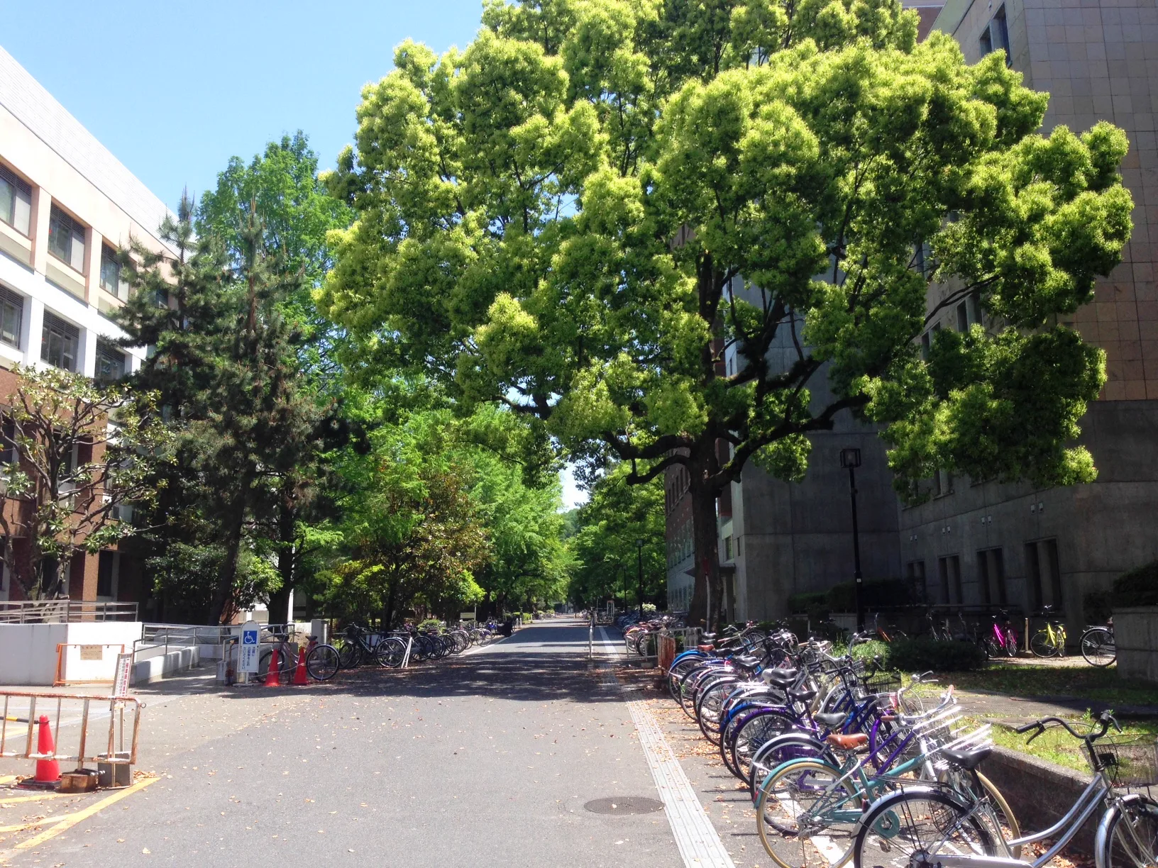 Sakyo Ward Sento: Pick a Bath Near Your Last Stop