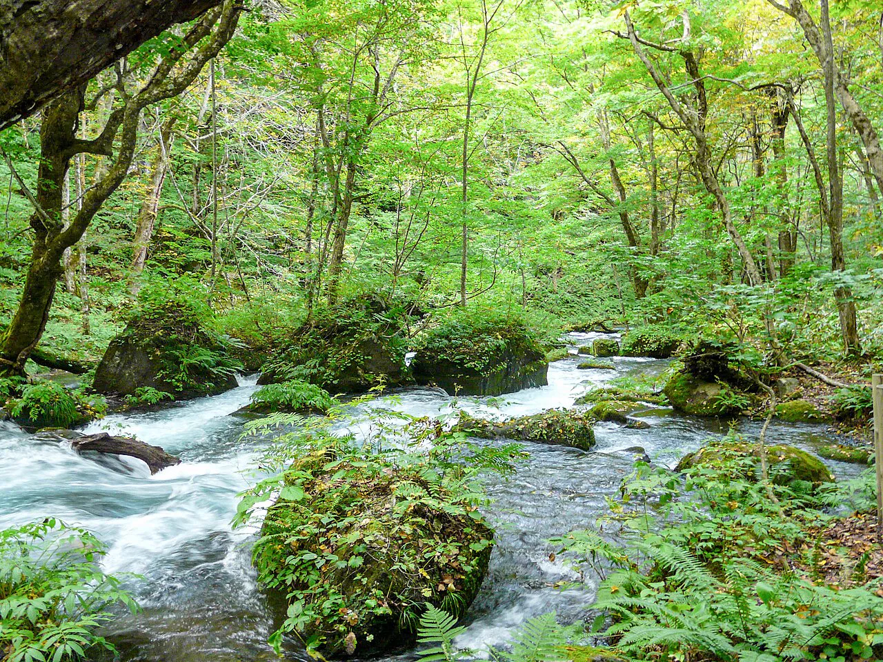 Getting to Oirase Gorge and Lake Towada: Aomori, Hachinohe or Shichinohe-Towada?