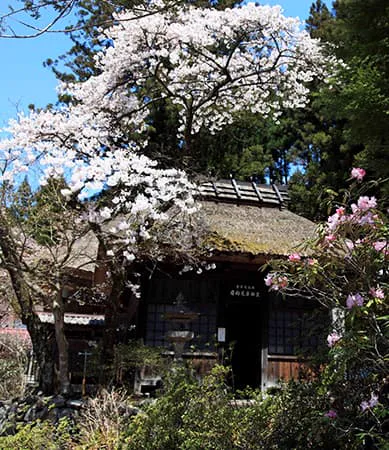 Sekizenkan’s Genroku-no-yu: A Day-Use Guide to Shima’s Historic Bathhouse