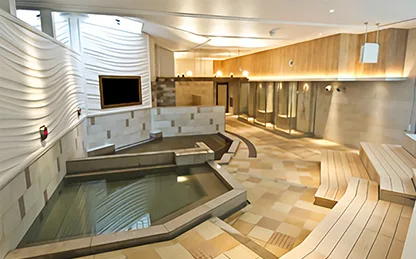 Heiwajima Natural Onsen: Day Passes and the Haneda Airport Bus