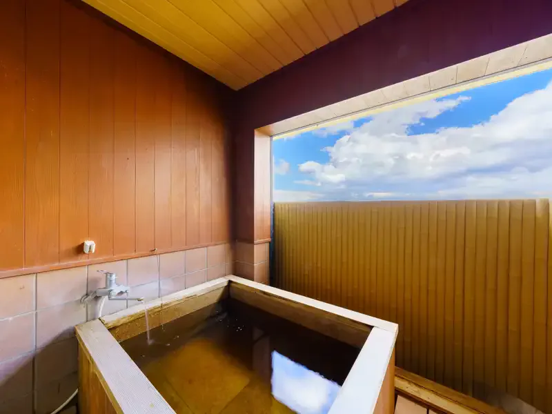 Seaside Hotel Mimatsu Oetei: Which Room Is Worth the Upgrade?