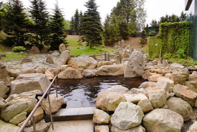 Tokachigawa Onsen Through the Seasons: When to Go and How to Plan