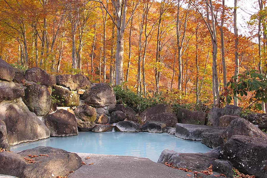 Getting to Ogon-no-Yu by Bus: A Practical Tsubame Onsen Day Trip