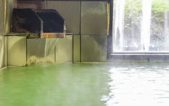 Private Onsen Baths in Sakihana: Which Ones Can Day Visitors Actually Book?