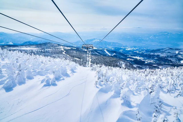 Zao Snow Monsters with Kids: Ropeway, Bath Rules and a Flexible Plan
