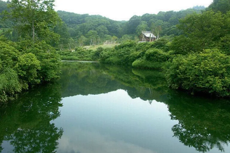 A mountain trail near Tsubame Onsen