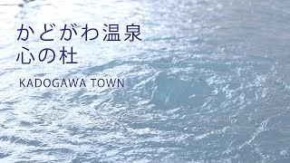 Is Ofunade no Yu in Hyuga Open? Current Status and a Nearby Alternative