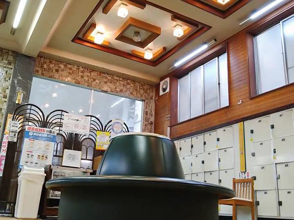 Bath at Minami Ikuno Onsen