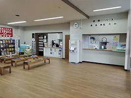 Day-Use Onsen at Lake Toya: Manseikaku, Kohantei or a Private Bath?