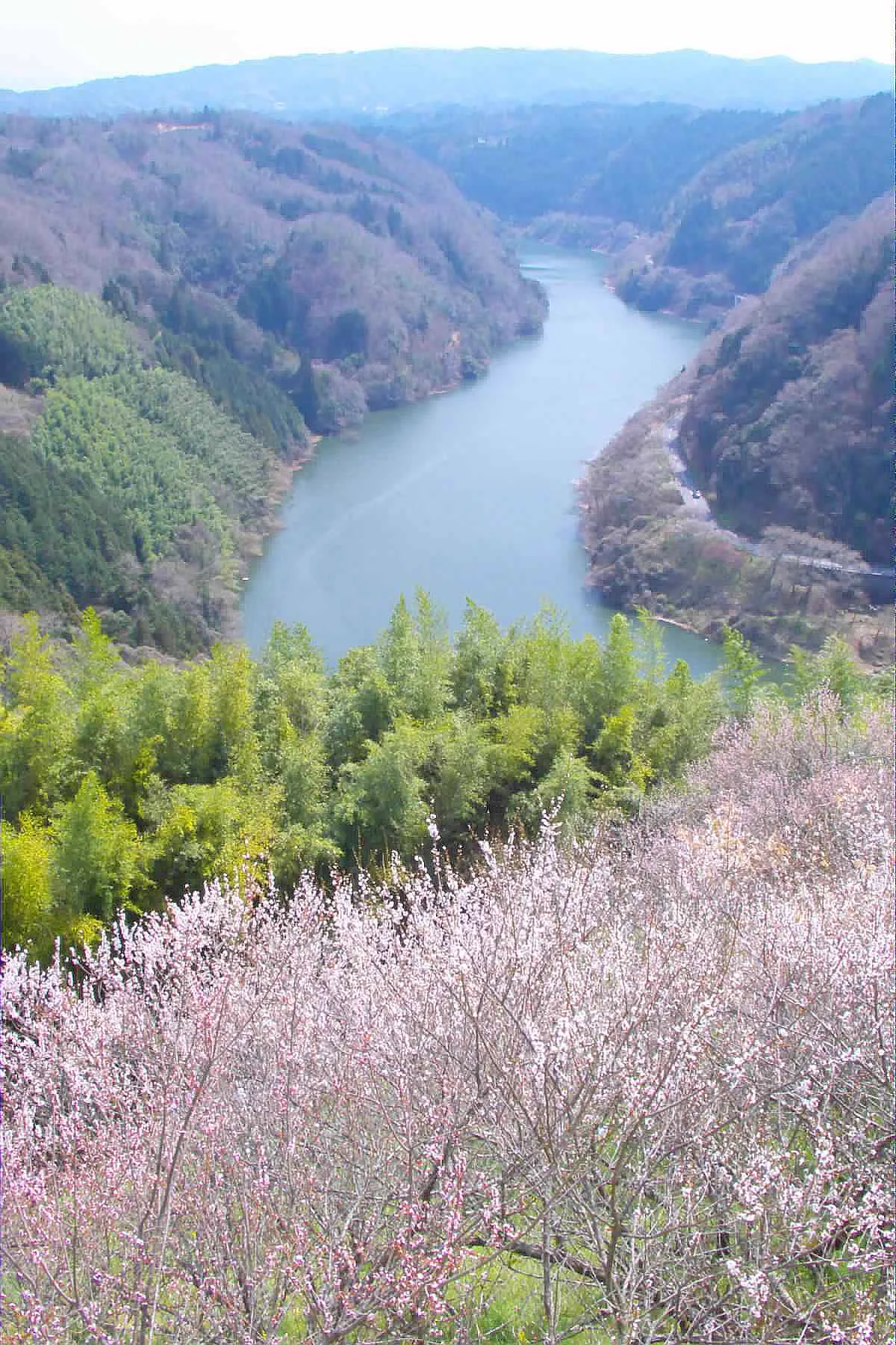 Nara Day-Use Onsen Guide: City Baths, Hot-Spring Resorts and Mountain Detours