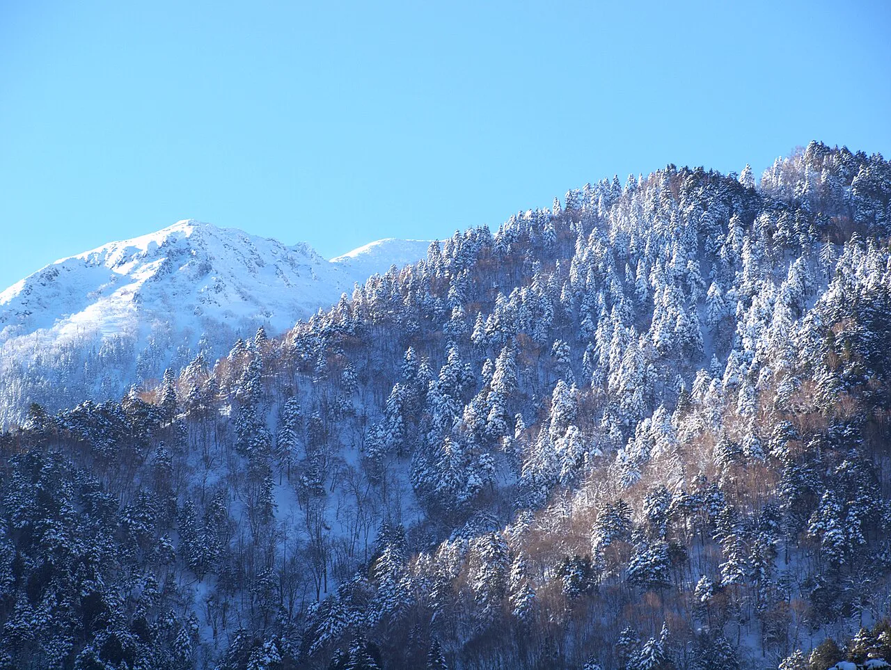 Okuhida by Season: Weather, Snow and Road Conditions