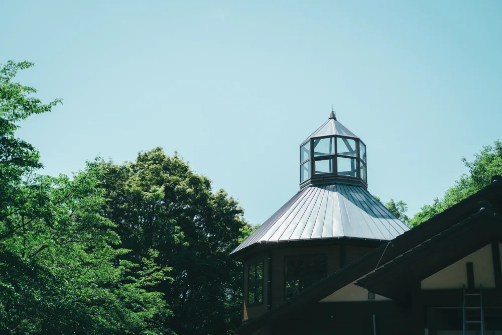 Nobeoka Onsen Choice: Hourigawa’s Mountain Spring or Healthtopia’s City Spa?