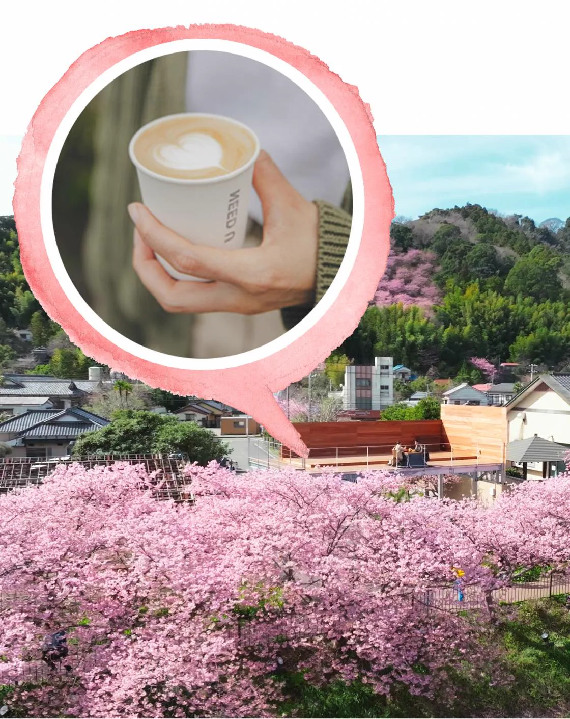 Odoriko Onsen Kaikan in Kawazu: Sakura Views, Prices and Visiting Hours