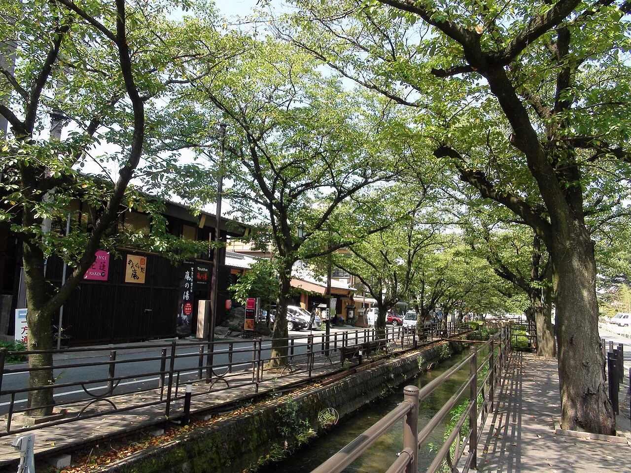Ryokan Kisen Day Use: Book First, Then Confirm When the Bath Opens