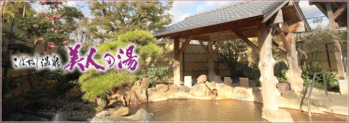 Bijin-no-Yu or Cosmos Onsen? Two Baths in Kobayashi