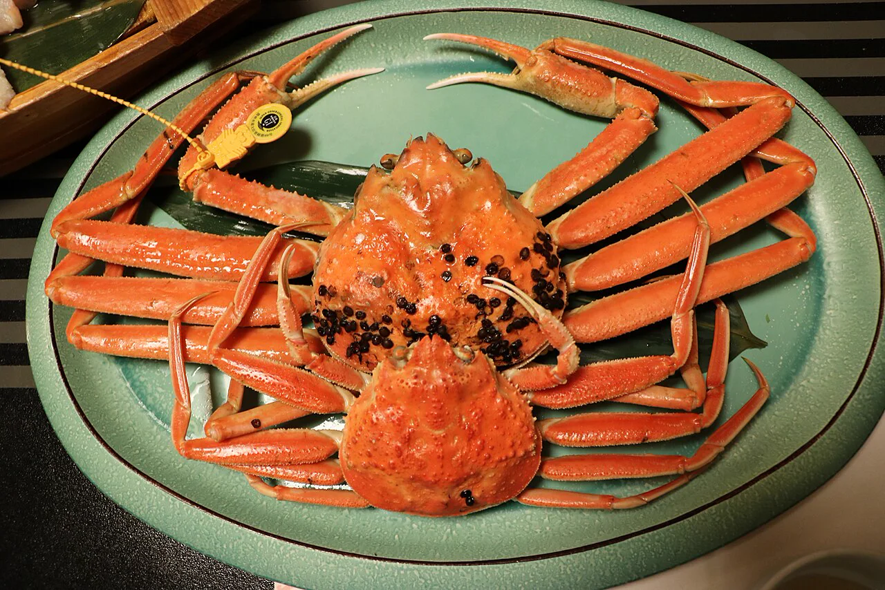 Awara Onsen in Winter: What to Budget for Echizen Crab Dinner