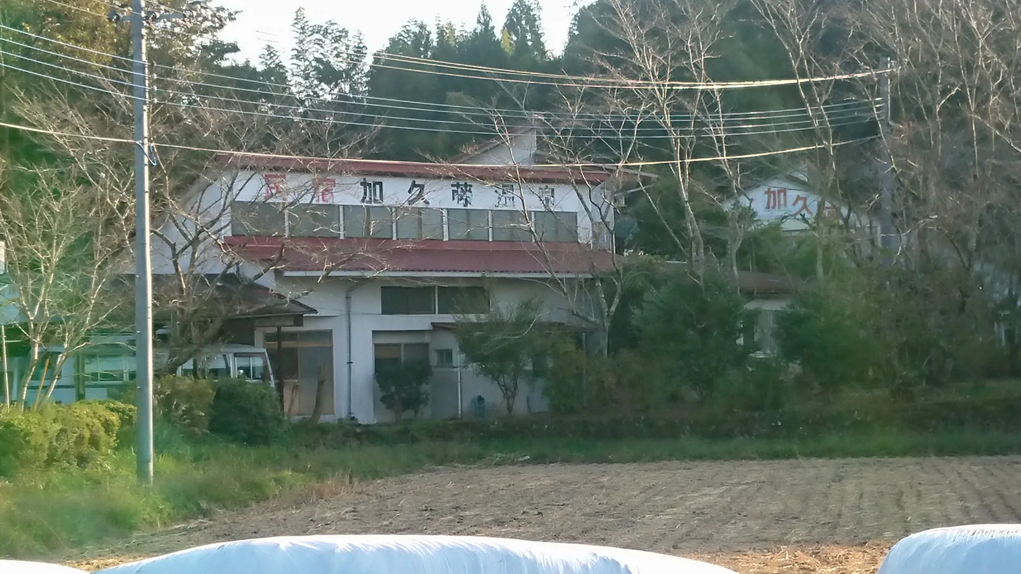 Kakuto Onsen in Ebino: A Gentle Spring and a Meal of Local Carp
